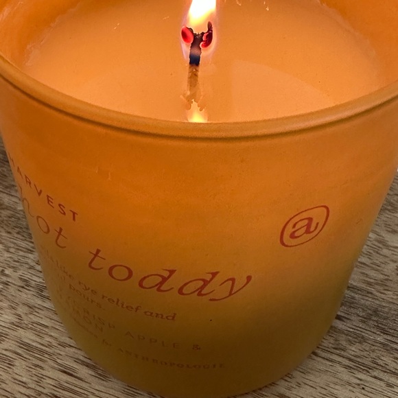 Hot Toddy anecdote exclusive anthro candle - Picture 4 of 8